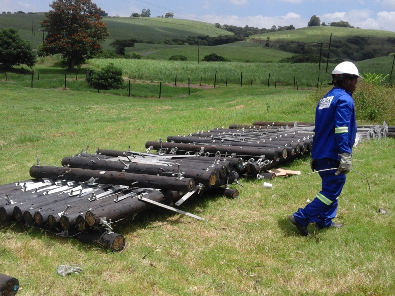 Name & classification