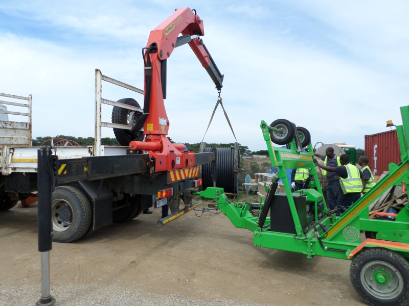 Name & classification