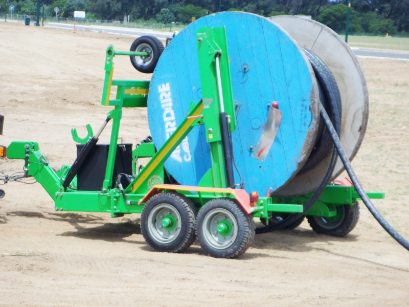 Name & classification